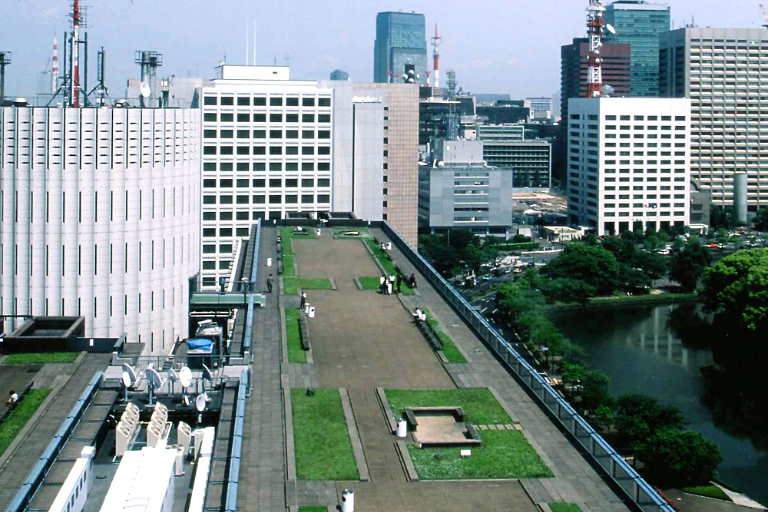 Area around the Head Office
